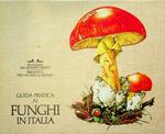 Guida pratica ai funghi in Italia