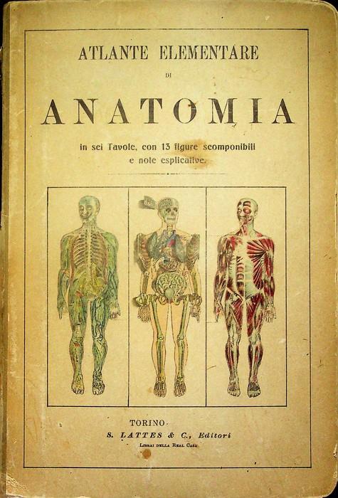 Atlante elementare di anatomia in sei Tavole, con 13 figure scomponibili e note esplicative - copertina