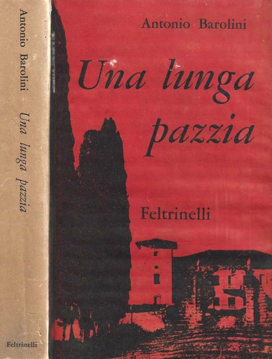 Una lunga pazzia - Antonio Barolini - copertina