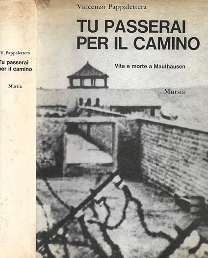 Tu passerai per il cammino - Vincenzo Pappalettera - copertina