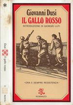 Il gallo rosso