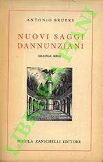 Nuovi saggi dannunziani