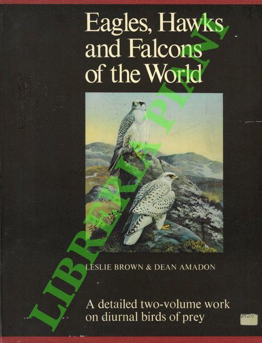 Eagles, Hawks and Falcons of the world. - copertina