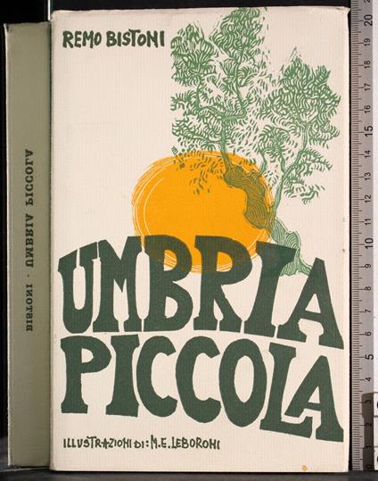 Umbria piccola - Remo Bistoni - copertina