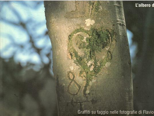 L' Albero Dell'Amore Graffiti Su Faggio Nelle Fotografie Di Flavio Faganello - Flavio Faganello - copertina