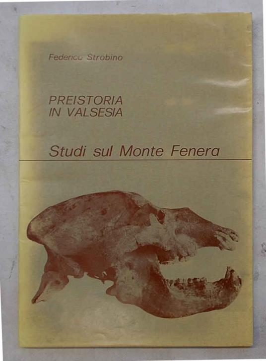 Preistoria in Valsesia. Studi sul Monte Fenera - copertina