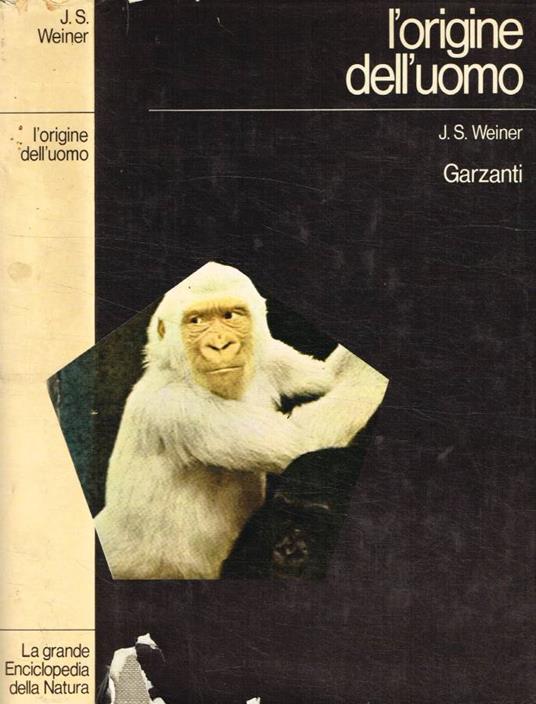 L' origine dell'uomo - copertina