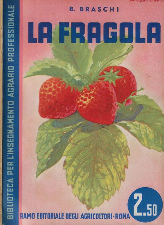 La fragola - Bruno Braschi - copertina