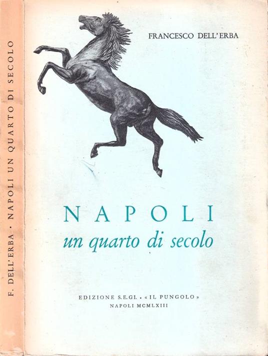 Napoli - Francesco Dell'Erba - copertina