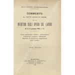 Commento al testo unico di legge per gli infortuni degli operai sul lavoro (R.D. 31 gennaio 1904 n. 51). Lavori parlamentari. Dottrina. Giurisprudenza. Legislazione comparata. Bibliografia. Appendice di disposizioni complementari. Indice analitico