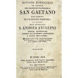 Divoto esercizio in onore del glorioso patriarca San Gaetano coll'aggiunta di un divoto esercizio in onore del glorioso S. Andrea Avellino special protettore contro gli accidenti apopletici e morte improvvisa. Ad istanza della Ven. Archiconfraternita - Caterina Di Gaetano - copertina