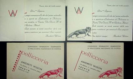 Pellicceria Amichetti Wilson: Trento - copertina