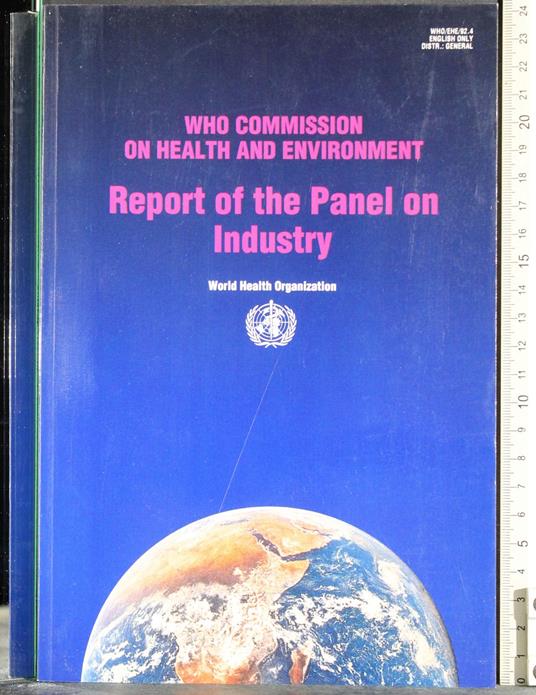 Report of the Panel on Industry - copertina