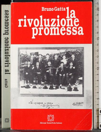 La rivoluzione promessa - Bruno Gatta - copertina