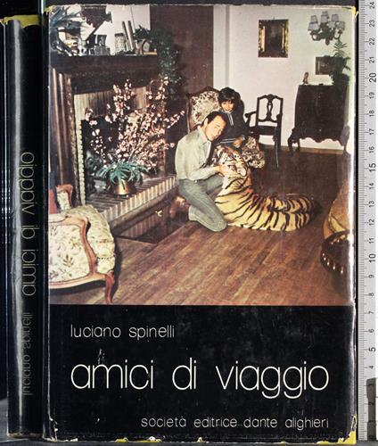 Amici di viaggio - Luciano Spinelli - copertina