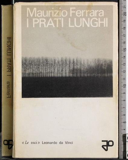 I prati lunghi - Maurizio Ferrara - copertina