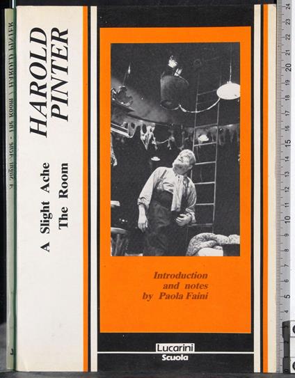 The Room A Slight Ache - Harold Pinter - copertina