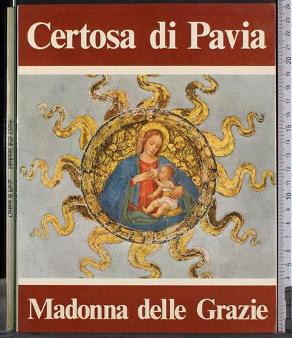 Certosa di Pavia. Madonna delle Grazie - copertina