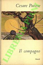 Il compagno