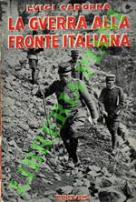 guerra alla fronte italiana (24 maggio 1915 - 9 novembre 1917)
