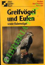 Greifvogel und Eulen sowie Rabenvogel