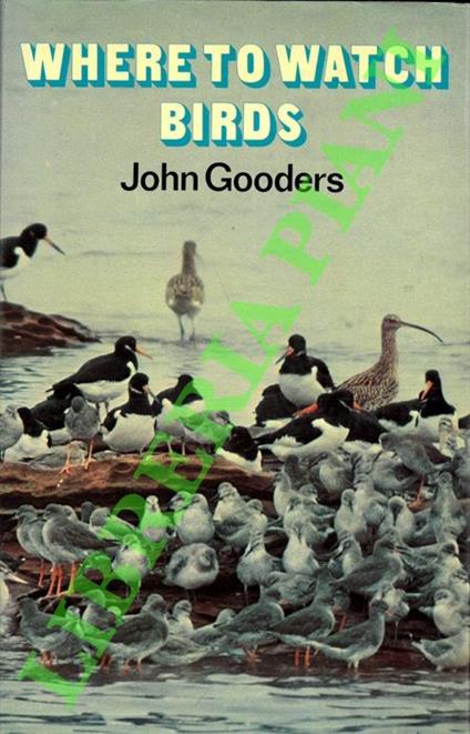 Where to Watch Birds - copertina