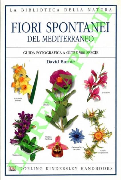 Fiori spontanei del Mediterraneo. Guida fotografica a oltre 500 specie - David Burnie - copertina