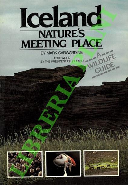 Iceland. Nature’s Meeting Place - Mark Carwardine - copertina