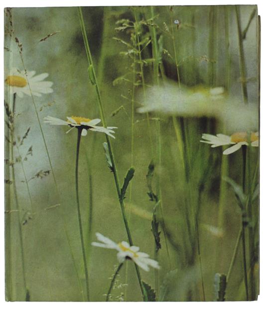 Book Of The British Countryside - copertina