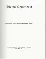 Divina commedia - manoscritto n. 35 della biblioteca lolliniana di Belluno