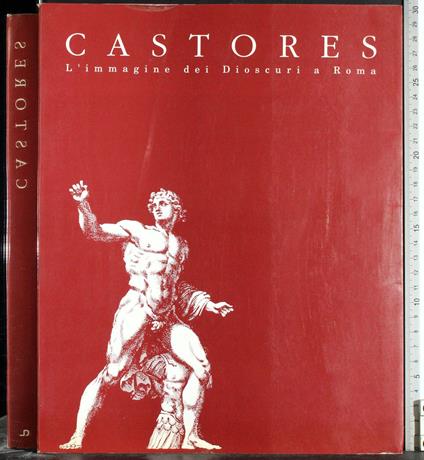 Castores. L'immagine dei Dioscuri a Roma - Leila Nista - copertina