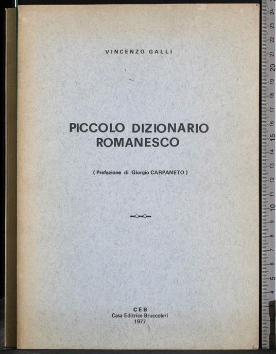 Piccolo dizzionaruio romanesco - Vincenzo Galli - copertina