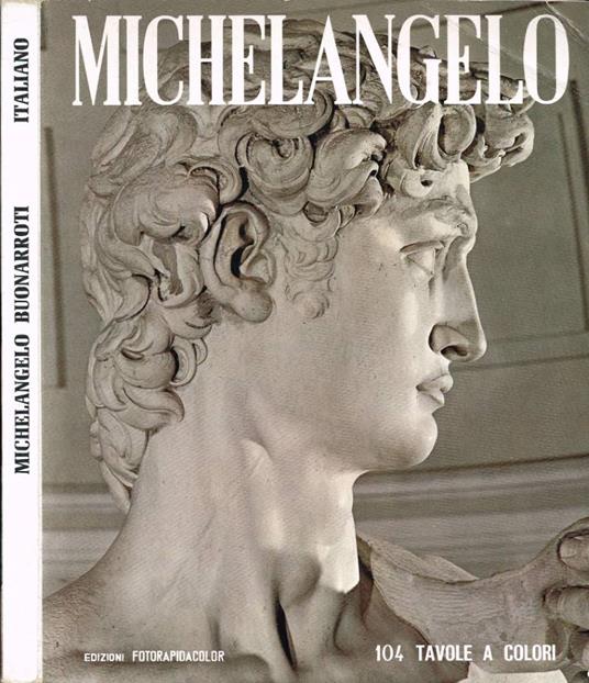 Michelangelo - Loretta Santini - copertina