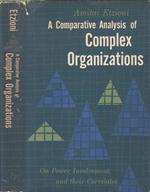 A comparative analysis of complex organizations