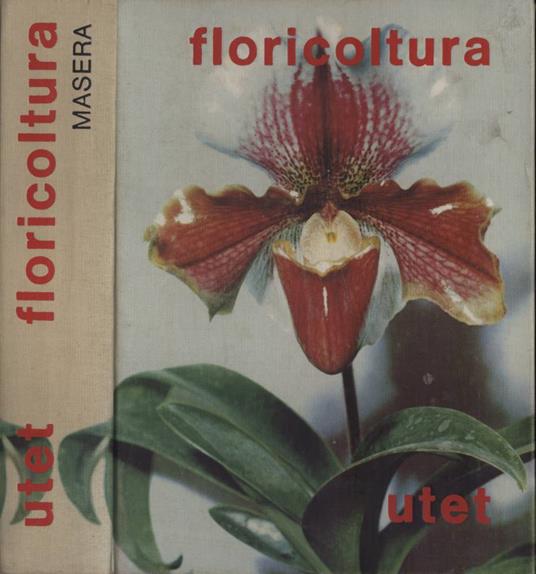 Floricoltura - Onorato Masera - copertina