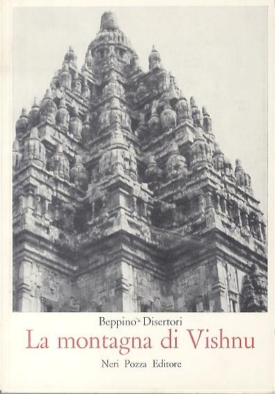 montagna di Vishnu: taccuini di viaggio nel sud-est asiatico e nell'Uganda - Beppino Disertori - copertina