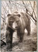L'orso bruno (Ursus arctos arctos, L.) nella Venezia Tridentina
