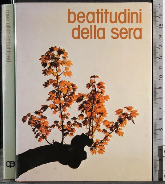 Beatitudini della sera - C. De Simone - copertina