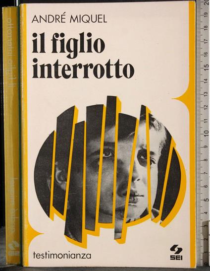 Il figlio interrotto - André Miquel - copertina