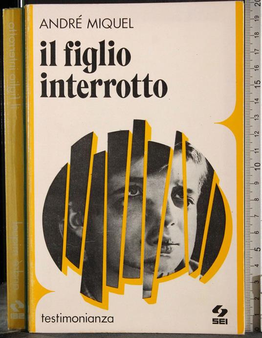 Il figlio interrotto - André Miquel - copertina