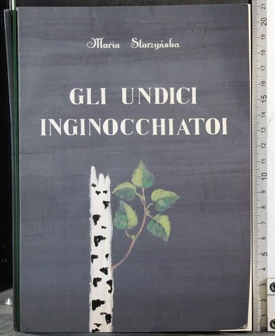 Gli undici inginocchiatoi - copertina