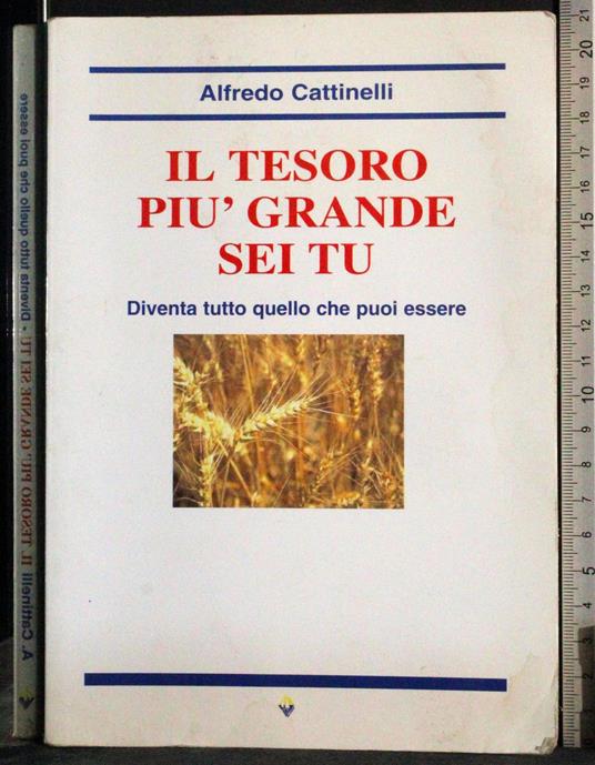 Il tesoro più grande sei tu - Alfredo Cattinelli - copertina