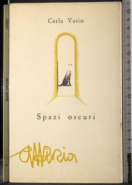 Spazi oscuri - Carla Vasio - copertina