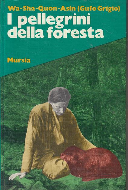 I Pellegrini Della Foresta - copertina