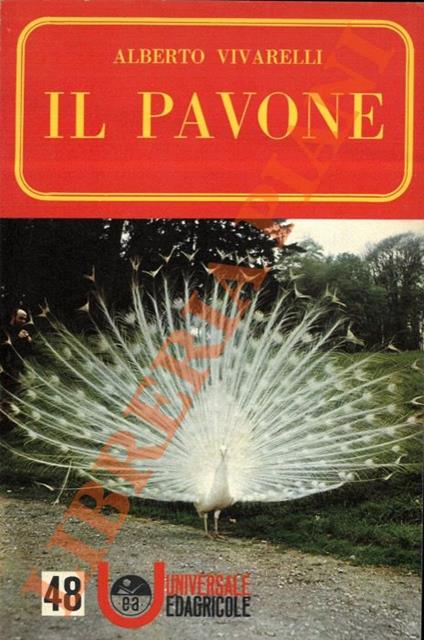 Il pavone. - Alberto Vivarelli - copertina