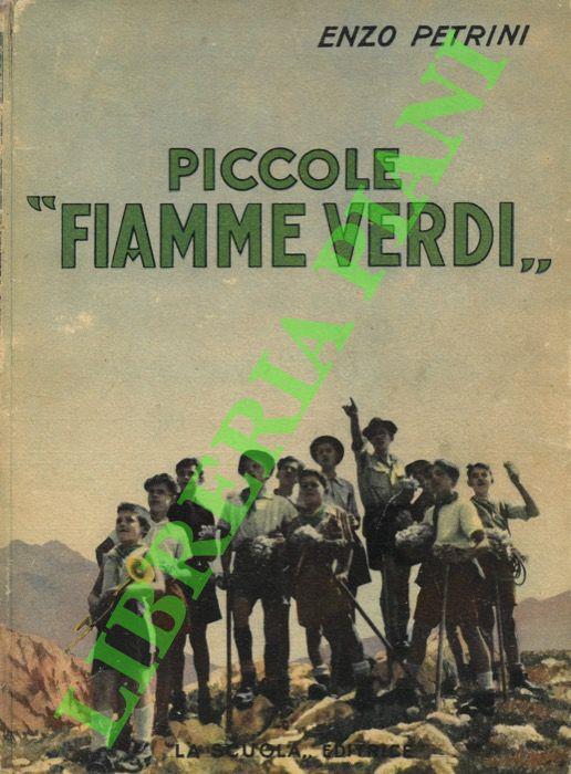 Piccole “fiamme verdi” - Enzo Petrini - copertina