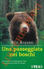 Una passeggiata nei boschi. Un'avventura sull'Appalachian Trail, il sentiero più lungo del mondo