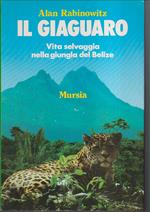 Il giaguaro Vita selvaggia nella giungla del Belize