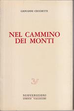 Nel cammino dei monti