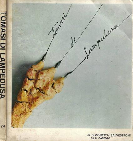 Tomasi di Lampedusa - Simonetta Salvestroni - copertina